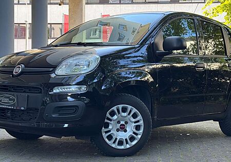 Fiat Panda TÜV AU NEU*KLIMA*Euro 6*