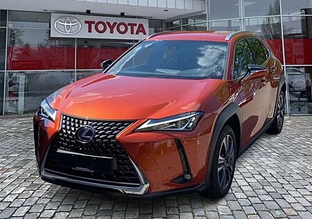 Lexus UX 250h UX 250 h 250h Style Edition ACC FLA ParkAss. LM