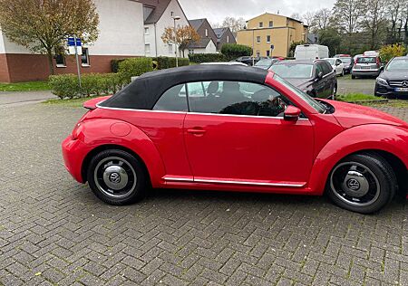 VW Beetle gebraucht kaufen VW Beetle Volkswagen The Cabriolet 1.6 TDI iBeetle Design