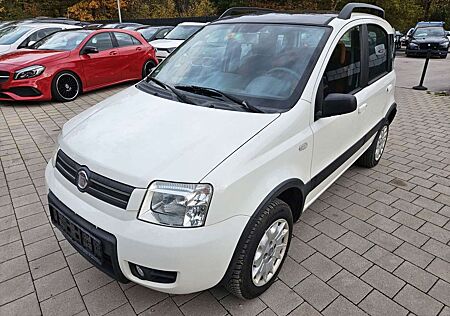 Fiat Panda 1.2 8V Climbing 4X4