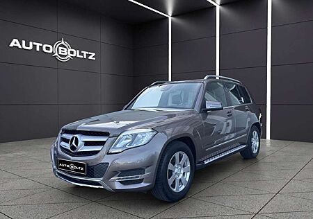 Mercedes-Benz GLK 250 CDI BlueTec 4Matic Leder Navi Kamera Memory