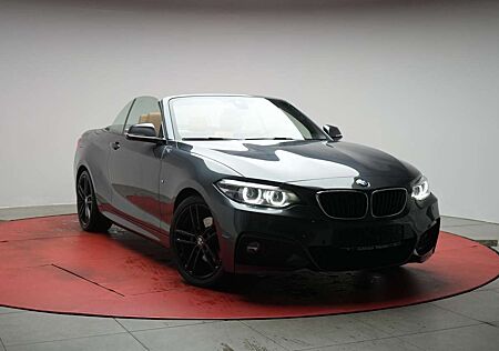 BMW 220 i Cabrio M Sport Navi/Leder/Temp/H&K/LED