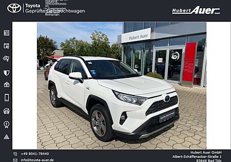 Toyota RAV 4 2.5 4x4 Hybrid Team Deutschland *Technik-P.*AHK*