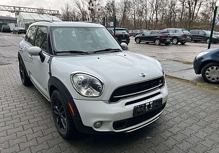 Mini Cooper S Countryman Leder, Panorama