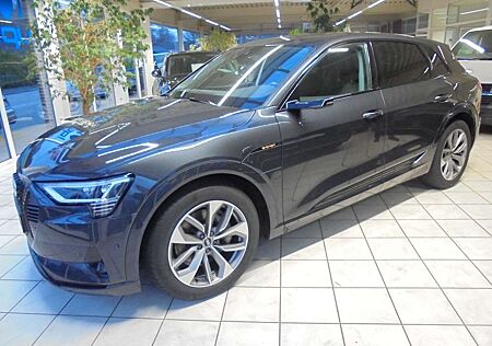 Audi e-tron 50 quatt adva/AHK/virtuelSpieg/UPE:83.892