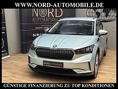 Skoda Enyaq iV 60 Loft Wärmepumpe/AHK/20/Navi/ Loft