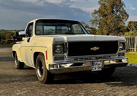 Chevrolet Others C10 Stepside