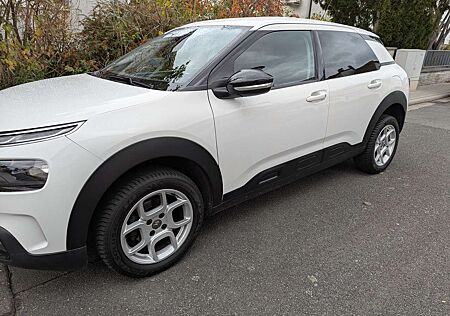 Citroën C4 Cactus Citroen PureTech 110 Stop