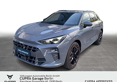 Cupra Terramar 2.0 TSI DSG VZ 4Drive Pano Navi LED SHZ
