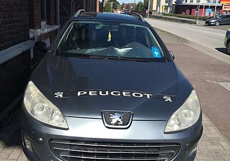 Peugeot 407 SW HDi 135 Platinum