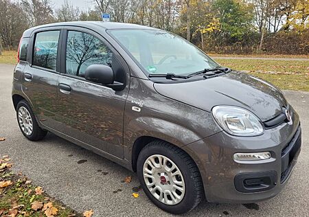 Fiat Panda Mild Hybrid, Klima, TÜV neu, City-Modus Servo