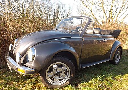 VW Käfer Volkswagen - todschick und perfekt!