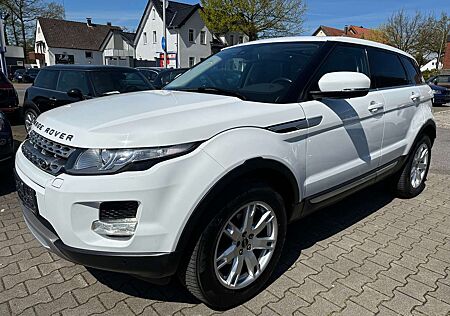 Land Rover Range Rover Evoque SD4 Aut Pure~Navi~Leder~Xenon~Panoramadach