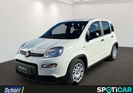 Fiat Panda 1.0 GSE Hybrid