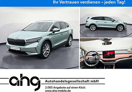 Skoda Enyaq iV 80 ACC AHK Panodach