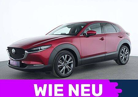 Mazda CX-30 gebraucht kaufen Mazda CX-30 Selection ACC|Head-up-Display|Premium-Paket