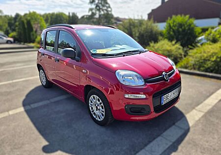 Fiat Panda Panda 1.2 My Panda