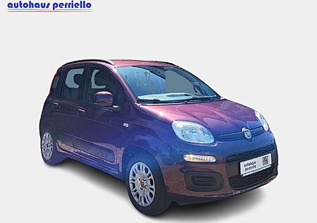 Fiat Panda Lounge 1.2 8V