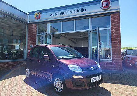 Fiat Panda Lounge 1.2 8V