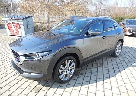 Mazda CX-30 2.5L e-SKYACTIV G 140PS Centerline mit DesignPaket