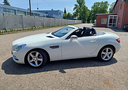 Mercedes-Benz SLK 200 BlueEfficiency,Leder,Xenon,Navi,Tüv4/27