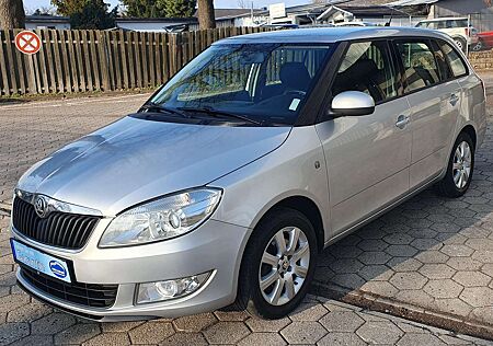 Skoda Fabia Elegance, Facelift,Navi,Sitzheizung, PDC,Euro 5,