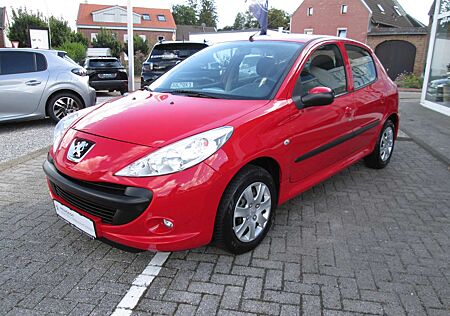 Peugeot 206 Grand Filou 60