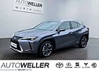 Lexus UX 250h (E-FOUR) Luxury Line *LED*Leder*Pano*Navi*