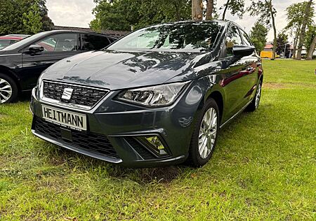 Seat Ibiza Style