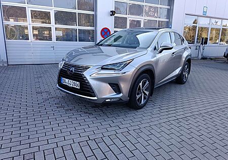 Lexus NX 300 NX 200t 300h E-Four, Luxury Line GARANTIE