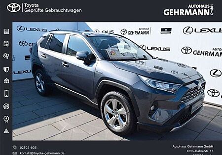 Toyota RAV 4 RAV4 Hybrid 4x2 Team Deutschland*Technikp*