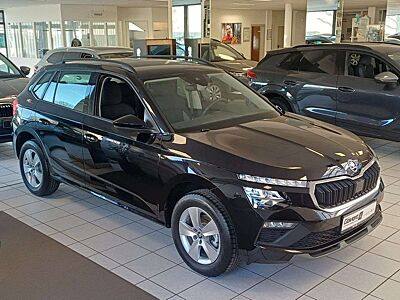 Skoda Kamiq 1.0 TSI DSG Selection SHZ KAMERA AHK LED