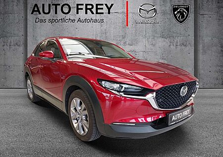 Mazda CX-30 Selection i-ACTIVSENSE+BOSE+1.HAND+360°KAMERA+ELEK