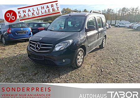Mercedes-Benz Citan 111 CDI Lang Tourer Edition Klima LM PDC SHZ