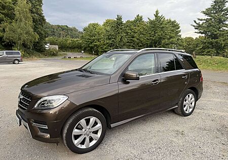 Mercedes-Benz ML 350 CDI BlueTec (166.024)