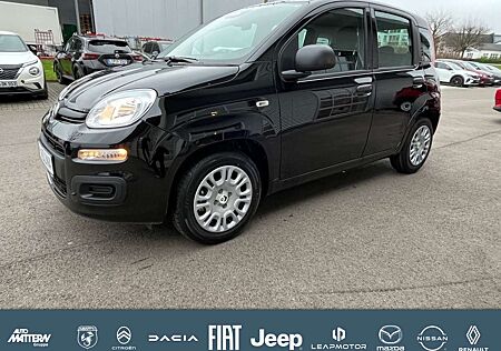 Fiat Panda Pandina Icon,PDC,DAB