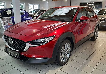Mazda CX-30 SKYACTIV-G 2.0 M Hybrid Select *18Zoll*Prem-P.*Gar