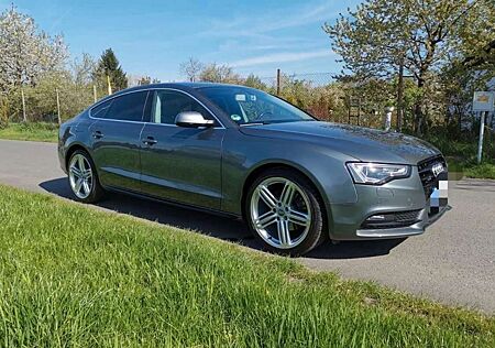 Audi A5 2.0 TDI Sportback (clean die.) quat. DPF S tro.