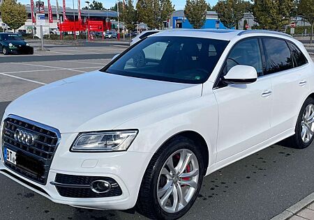 Audi SQ5 gebraucht kaufen Audi SQ5 3.0 TDI quattro tiptronic