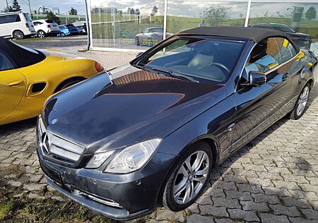 Mercedes-Benz E 350 CDI BlueEfficiency (207.423)