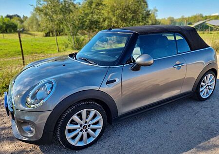 Mini Cooper Cabrio +Cooper+Cabrio