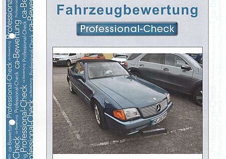 Mercedes-Benz SL 300 SL-Klasse SL-24