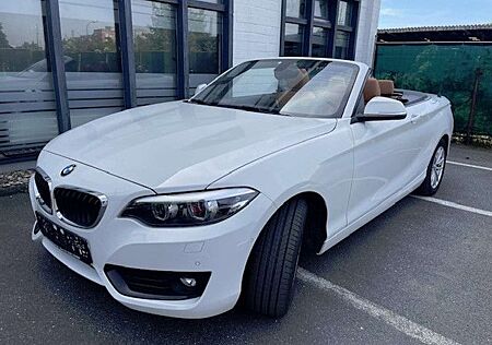 BMW 220 Cabrio i Advantage, Aut, Sitzhzg, PDC,
