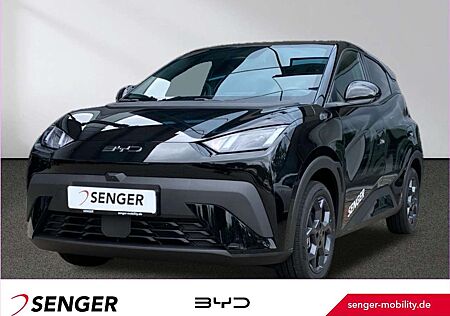 BYD DOLPHIN SURF Comfort Carplay 360°K. LED Keyless