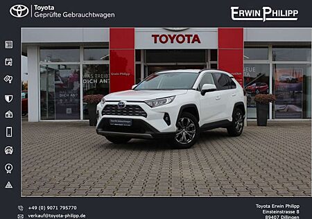 Toyota RAV 4 Hybrid Team-D *Leder*AHK*Technik-Paket*