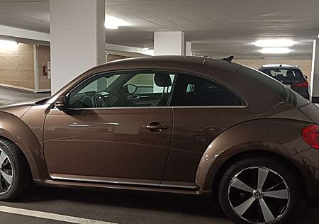 VW Beetle Volkswagen The 1.2 TSI DSG Exclusive Design