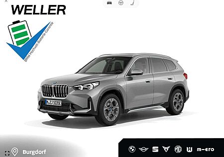 BMW X1 xDrive30e xLine DAP PA+Pano H/K 360°AHK ACC