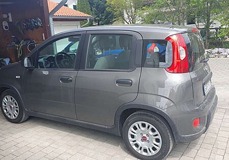 Fiat New Panda Hybrid Benzin