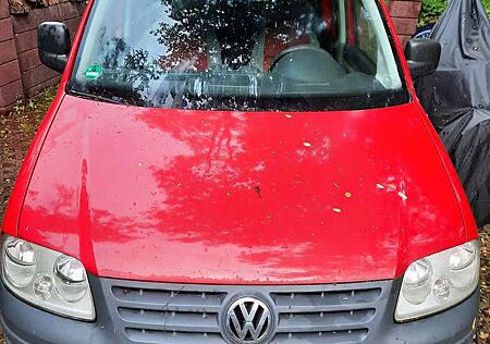 VW Caddy Volkswagen EcoFuel 2.0 EcoFuel Life (5-Si.)