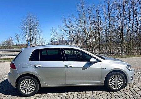 VW Golf Volkswagen 1.2 TSI 63 kW TÜV neu, Marderschutz
